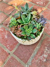Load image into Gallery viewer, SUCCULENT POTS
