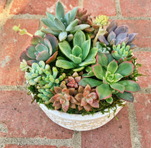 Load image into Gallery viewer, SUCCULENT POTS