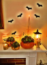 Load image into Gallery viewer, SUCCULENT PUMPKINS