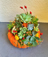 Load image into Gallery viewer, SUCCULENT PUMPKINS